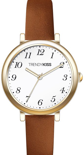 Trendy Kiss | Cheap Women's Watch in Metal and Leather - TC10166-02